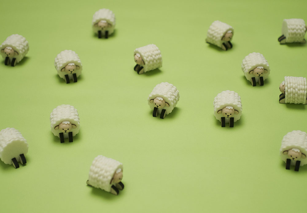 年賀状写真素材「羊」