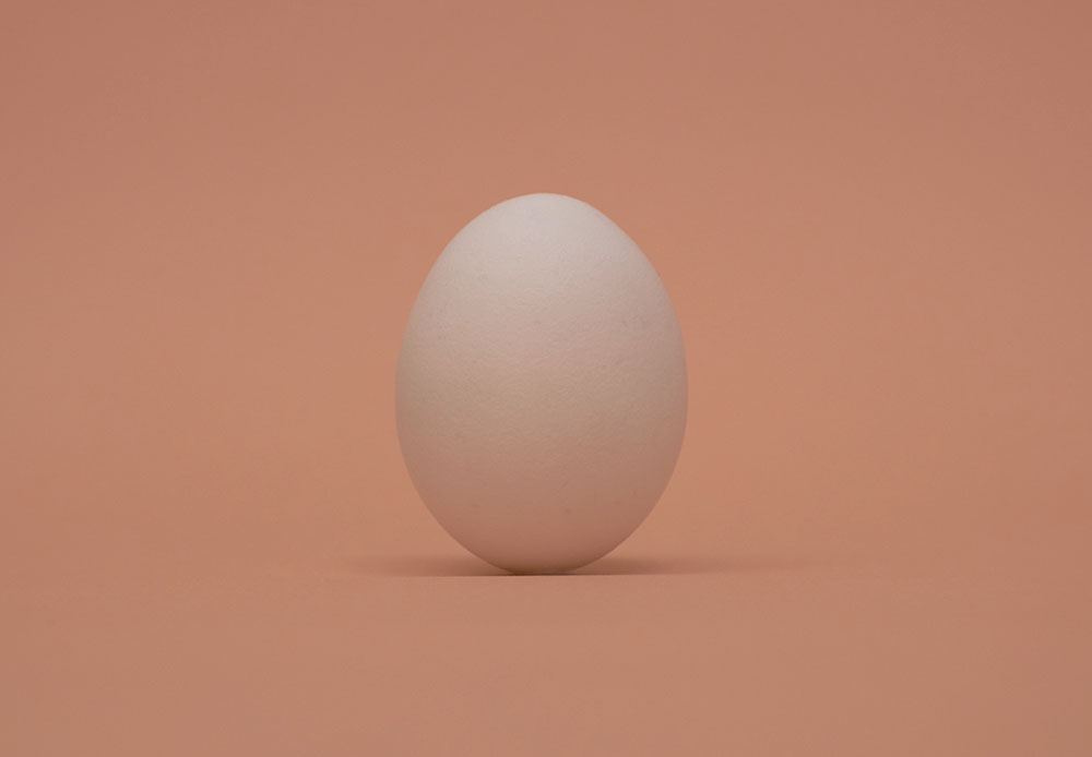 （仮）年賀状写真素材「酉」